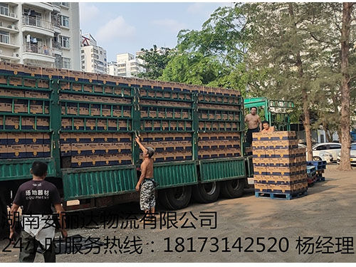 &#20061;&#28216;&#24179;&#21488;&#45;&#20061;&#28216;&#40;&#20013;&#22269;&#41;&#19968;&#31449;&#24335;&#26381;&#21153;&#24179;&#21488;